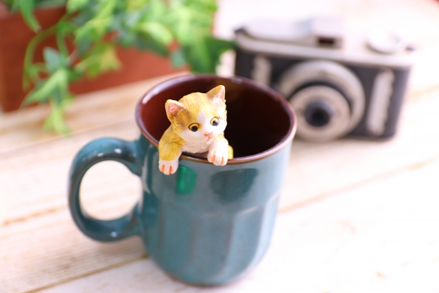 カップの猫